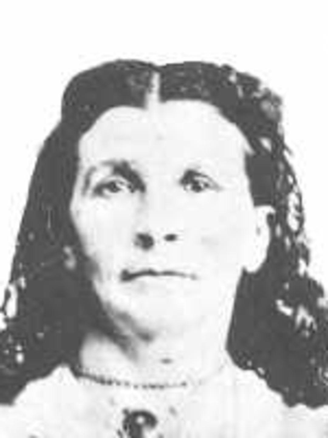 Mary Howarth (1831 - 1902) Profile